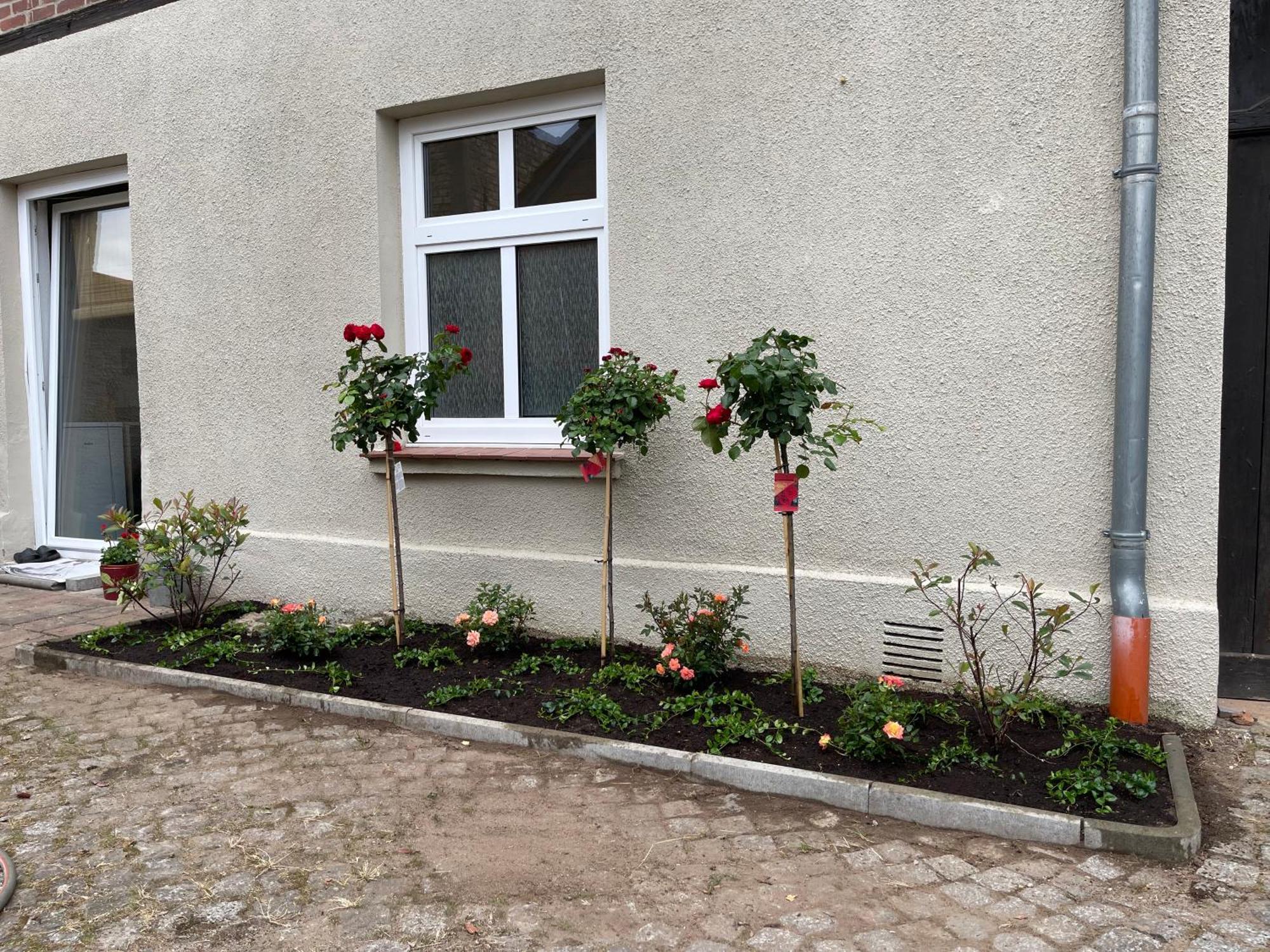kleines Appartement am Schlossparkcenter Schwerin  Exterior foto